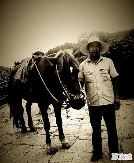 洋房里的小草莓小说全文免费阅读虽是兽医但我医术无双用心呵护生命传递爱与希望