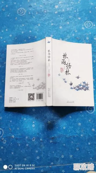 正文小说之福林初试云雨心怀梦想勇敢追求幸福与希望 正文小说之福林初试云雨心怀梦想勇敢追求幸福与希望