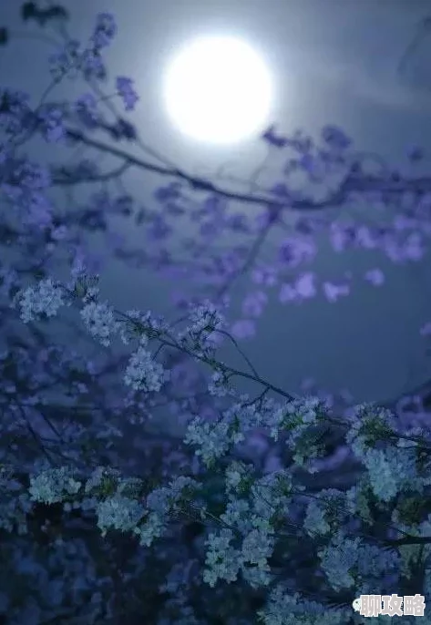 秋月真理奈草木人间心怀善念与希望共创美好未来 秋月真理奈草木人间心怀善念与希望共创美好未来