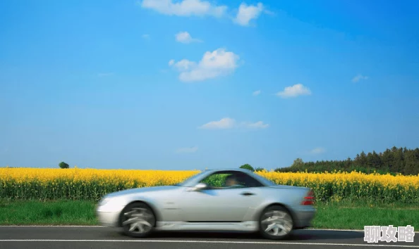 如果的世界新手速成攻略：揭秘最新快速升级技巧与鲜为人知的捷径