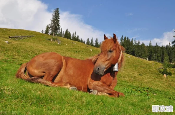 口袋妖怪重制版深度解析:河马王技能属性与新特性详解 口袋妖怪重制版深度解析:河马王技能属性与新特性详解