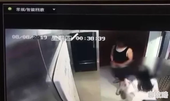 男子裸露下体尾随女子偷拍城市精灵GO新动向：宠物八大属性全面解析及最新玩法揭秘