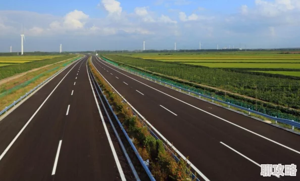 航海王强者之路：2024最新最有潜力卡牌深度分享与解析