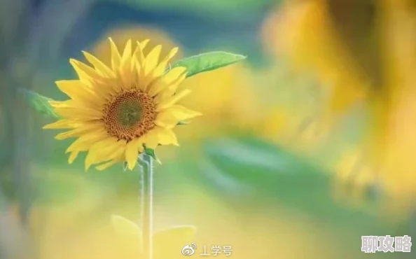 开侄女嫩苞小说积极向上勇敢追梦生活充满希望与美好