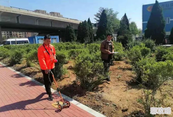 御龙在天手游国家更换攻略：具体方法步骤及新鲜转国要点一览