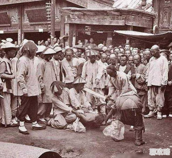 饥荒手机版：2024冬季生存全新技巧攻略，助你温暖过冬无畏挑战