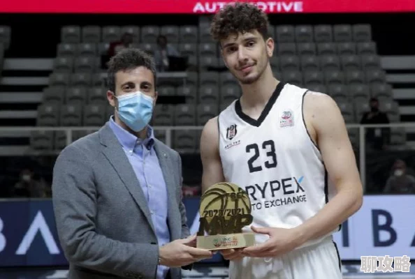 《守护者们》终极对决：揭秘决定胜负、震撼全场的新鲜终结技！