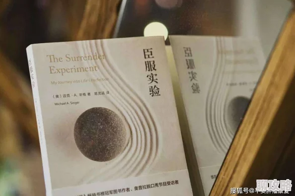 胸动态图《臣服》这本书让人深刻反思人生,帮助我找到内心的平和与宁静 胸动态图《臣服》这本书让人深刻反思人生,帮助我找到内心的平和与宁静