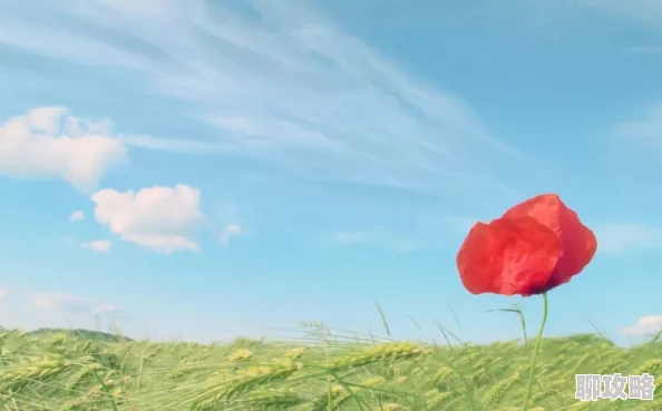 婉艳生活充满希望与美好，每一天都是新的开始，勇敢追求梦想，幸福就在前方等着你