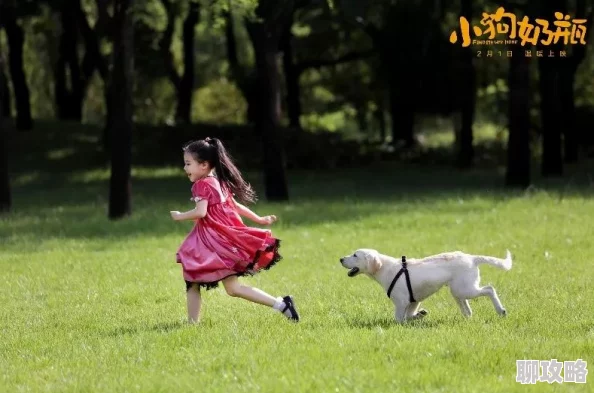 高h小黄文高甜小狗奶瓶爱心呵护每一只小生命让温暖与陪伴永驻心间