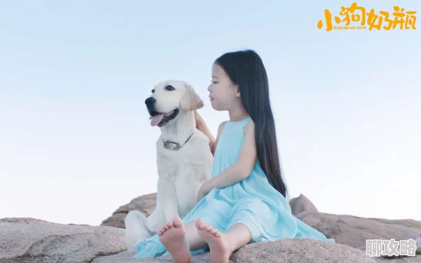 高h小黄文高甜小狗奶瓶爱心呵护每一只小生命让温暖与陪伴永驻心间