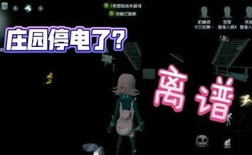 韩国三色电费2024免费吗多少钱2024年第五人格五人排位高效攻略：最新角色搭配与团队协作技巧