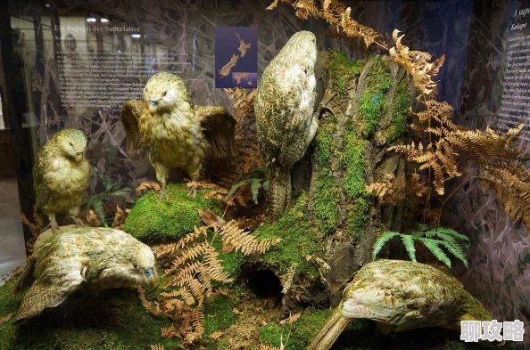 欧美交配科学家发现新物种在交配行为中展现出独特的求偶舞蹈 欧美交配科学家发现新物种在交配行为中展现出独特的求偶舞蹈