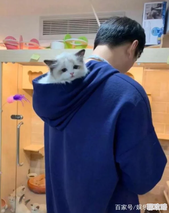 疯狂动物园帽子图鉴大全：揭秘恶魔之角，解锁全新神秘装扮潮流！