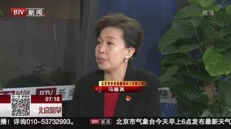 肉肉总裁文邪不压正心中有光勇敢追梦创造美好未来