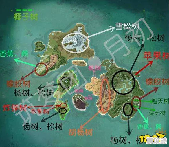 扒开双腿疯狂进出爽爽爽动小说创造与魔法2024树木种类及掉落大全，砍树技巧分享与新版本前瞻