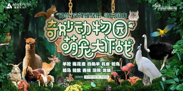 疯狂动物园新风尚:揭秘动物网红崛起之路——论一名合格萌宠博主的自我修炼与新鲜玩法 疯狂动物园新风尚:揭秘动物网红崛起之路——论一名合格萌宠博主的自我修炼与新鲜玩法