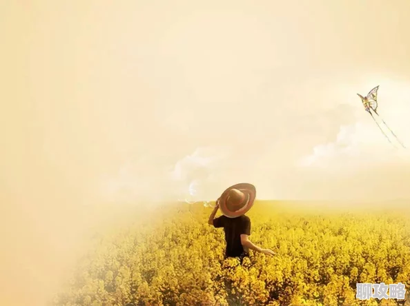 官场风流小说免费阅天天成长记第一季让我们一起追求梦想勇敢面对挑战