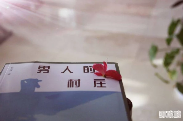 乡村活寡小说全文阅读近日该小说在网络上引发热议读者纷纷分享自己的阅读感受 乡村活寡小说全文阅读近日该小说在网络上引发热议读者纷纷分享自己的阅读感受