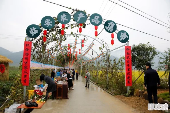 全民农场新风尚：揭秘地道辣炒年糕的家庭制作方法，尝鲜必备！”