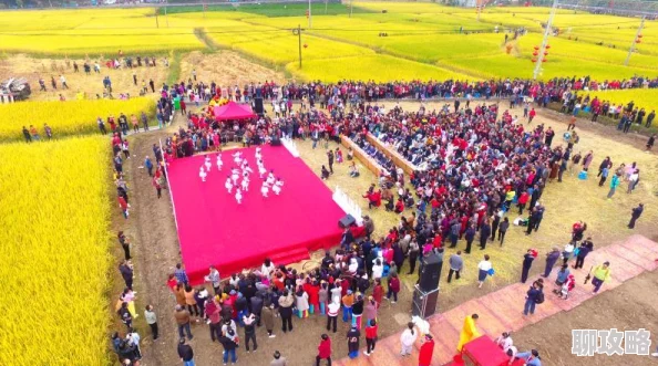 全民农场新风尚：揭秘地道辣炒年糕的家庭制作方法，尝鲜必备！”