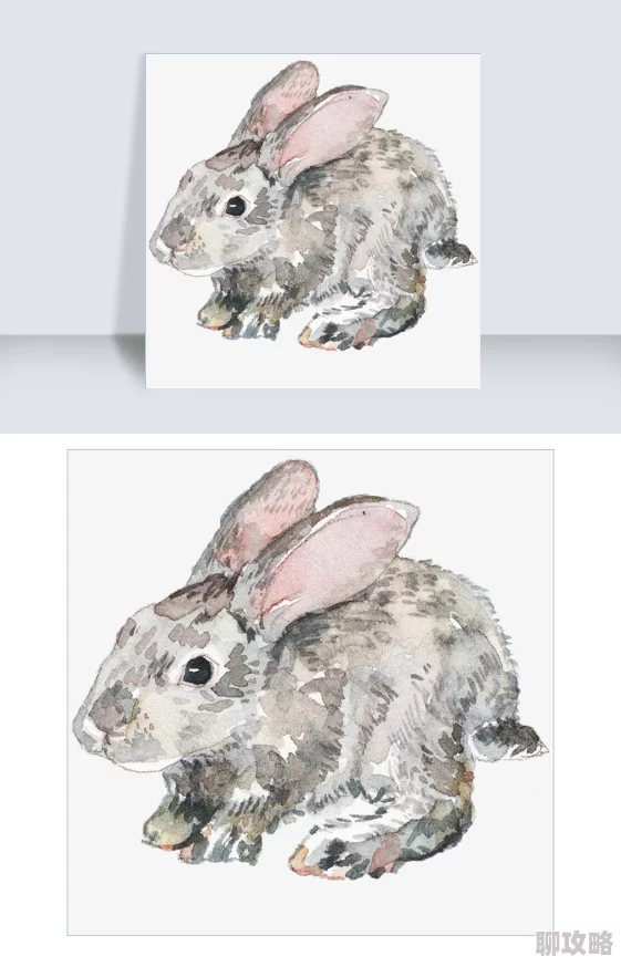 揭秘!粉色兔子袜子创意设计究竟出自哪位大师之手,最新艺术资讯曝光! 揭秘!粉色兔子袜子创意设计究竟出自哪位大师之手,最新艺术资讯曝光!