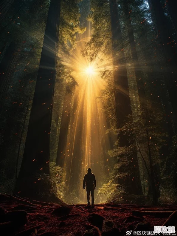 天堂热黑暗时刻迎接光明希望勇敢前行创造美好未来