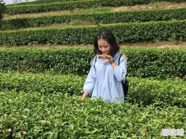 翁与小莹全目录回乡下他们在乡下发现了一处隐藏的古老茶园,品尝到了独特的手工茶。 翁与小莹全目录回乡下他们在乡下发现了一处隐藏的古老茶园,品尝到了独特的手工茶。