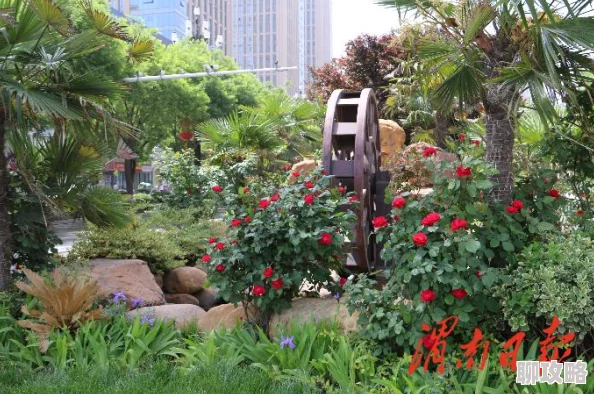 欧美日本一本口红让你自信绽放美丽每一天勇敢追求梦想与幸福