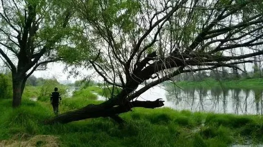 小荡货你夹的老师好紧近日该剧因其大胆情节引发热议观众纷纷讨论剧情走向