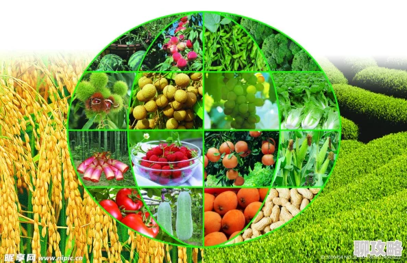 一品村夫村里新开了一家农产品直销店,提供新鲜有机蔬菜和手工制品,受到村民热烈欢迎 一品村夫村里新开了一家农产品直销店,提供新鲜有机蔬菜和手工制品,受到村民热烈欢迎