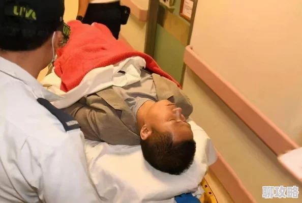 港岛皇朝积极向上，携手共创美好未来，传递温暖与希望