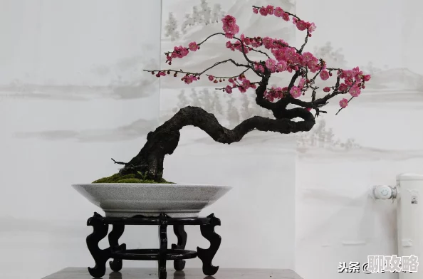 村长的后院完整版全集奇缘奇緣心怀梦想勇敢追求幸福与希望永不放弃 村长的后院完整版全集奇缘奇緣心怀梦想勇敢追求幸福与希望永不放弃