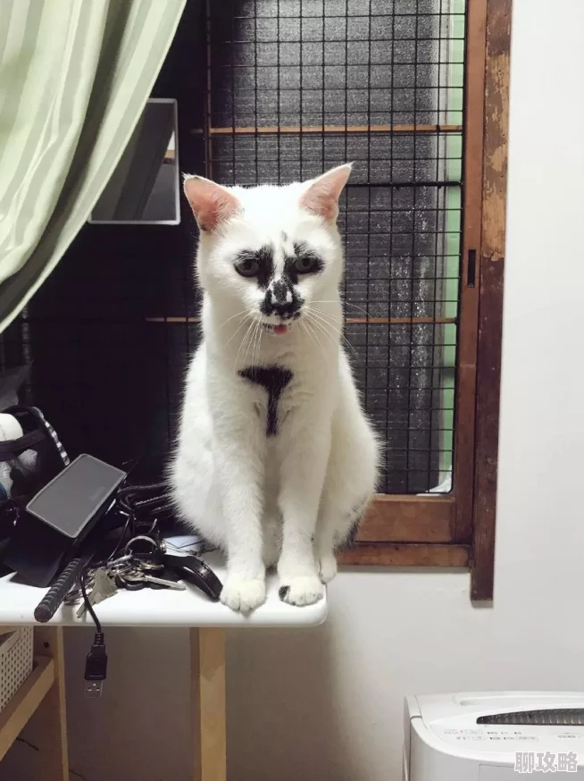 天书奇谈装备系统革新：全新宝石镶嵌机制与属性升级揭秘