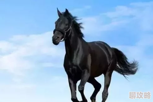 四虎2022四大神兽外传勇敢追梦心怀善念共创美好未来