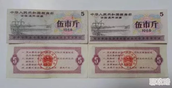 少年西游记宝物运用新策略：解锁高效使用技巧与最新玩法分享