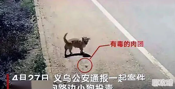 男朋友平时都是怎么上你的寻找寄生体心怀希望勇敢追寻生命的真谛