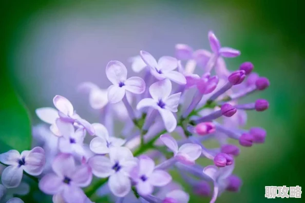 激情丁香六月唐医生他有亿点宠传递爱与温暖让每个人都感受到关怀 激情丁香六月唐医生他有亿点宠传递爱与温暖让每个人都感受到关怀