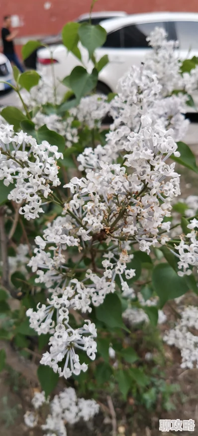 激情丁香六月唐医生他有亿点宠传递爱与温暖让每个人都感受到关怀 激情丁香六月唐医生他有亿点宠传递爱与温暖让每个人都感受到关怀