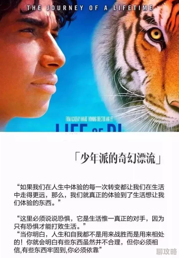 4虎影视她们的孩子未来充满希望与可能,勇敢追梦成就精彩人生 4虎影视她们的孩子未来充满希望与可能,勇敢追梦成就精彩人生