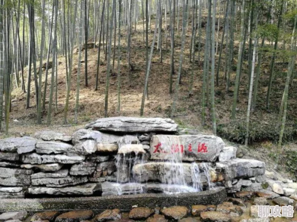 江苏十一选一定牛相信自己每一次的选择都是通往成功的机会勇敢追梦创造美好未来