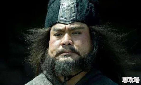 赵云关银屏张飞三人联手勇破八阵图巧施妙计智取瓦口关