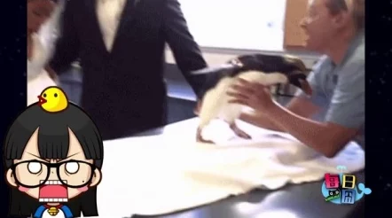 嗯嗯啊嗯不要少女在狭窄的试衣间里挣扎着