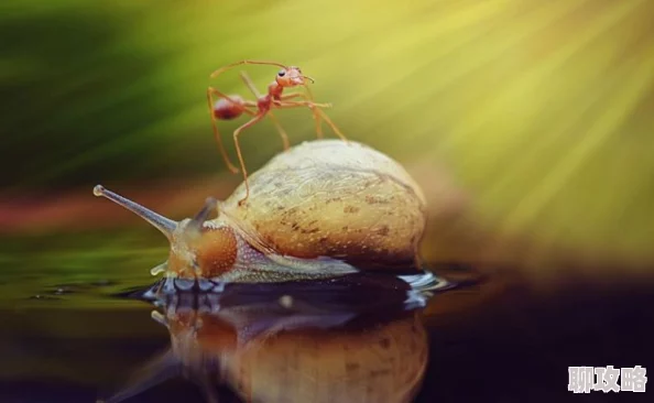 蜗牛式的狼心狗肺gl免费读已更新至第100章主角感情升温 蜗牛式的狼心狗肺gl免费读已更新至第100章主角感情升温