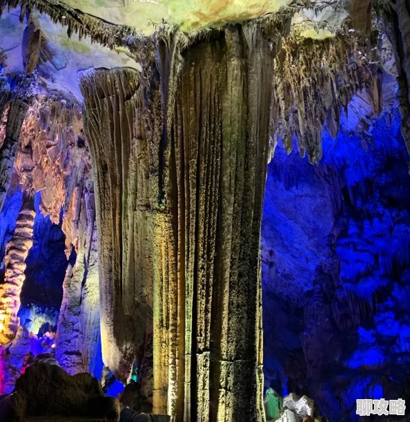 少年西游记全新攻略:揭秘高效获取仙灵方法,解锁稀有仙灵新鲜途径分享 少年西游记全新攻略:揭秘高效获取仙灵方法,解锁稀有仙灵新鲜途径分享