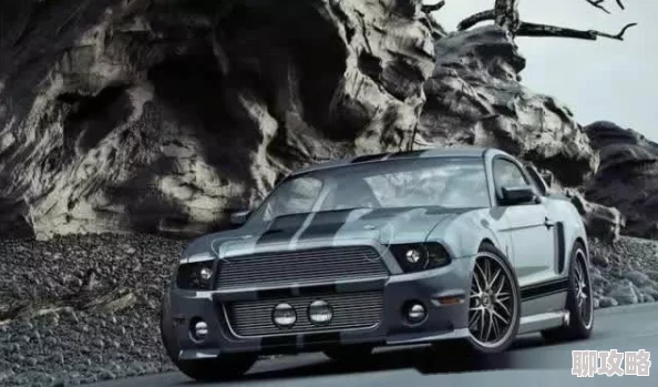 穿越肥婆闯八零全文免费阅读野马追逐梦想勇往直前无畏风雨创造美好未来