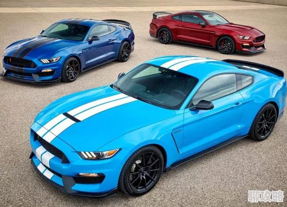 穿越肥婆闯八零全文免费阅读野马追逐梦想勇往直前无畏风雨创造美好未来