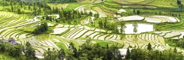 真实亲子车上伦小说家人旅行突发意外伦理考验再度升级