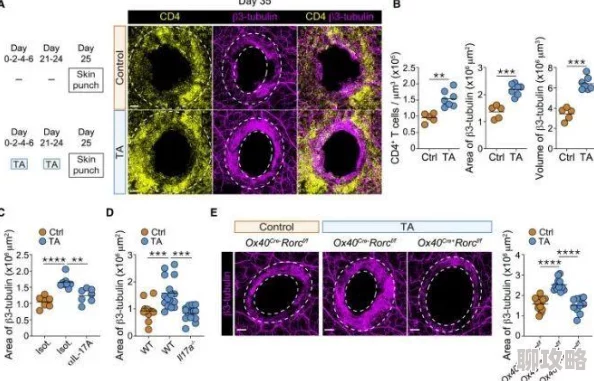 精灵宝可梦GO游戏内术语大全介绍及最新更新内容概览 精灵宝可梦GO游戏内术语大全介绍及最新更新内容概览