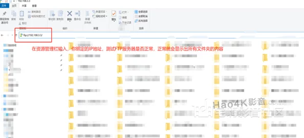 一区二区不卡视频在线观看所有服务器已升级维护完毕流畅高清体验